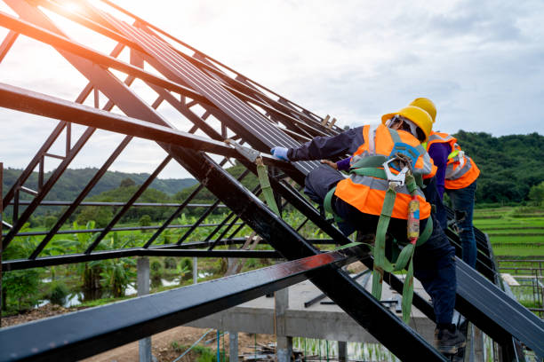 Roof Gutter Cleaning in Center Hill, FL