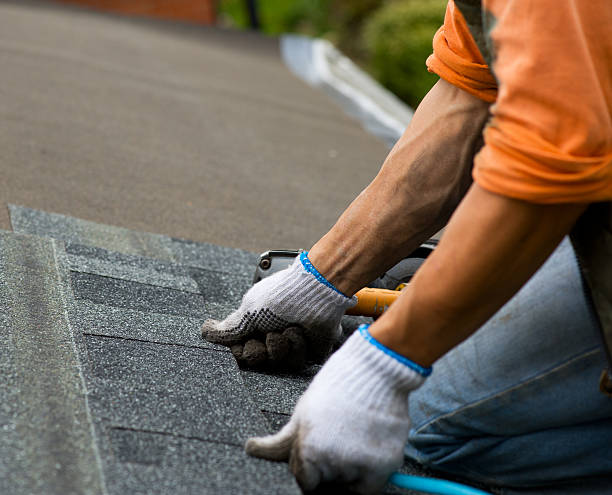 Best Shingle Roofing Installation  in Center Hill, FL